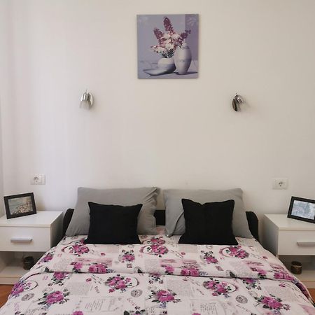 Apartmani La Grande Motte Vrdnik Eksteriør bilde