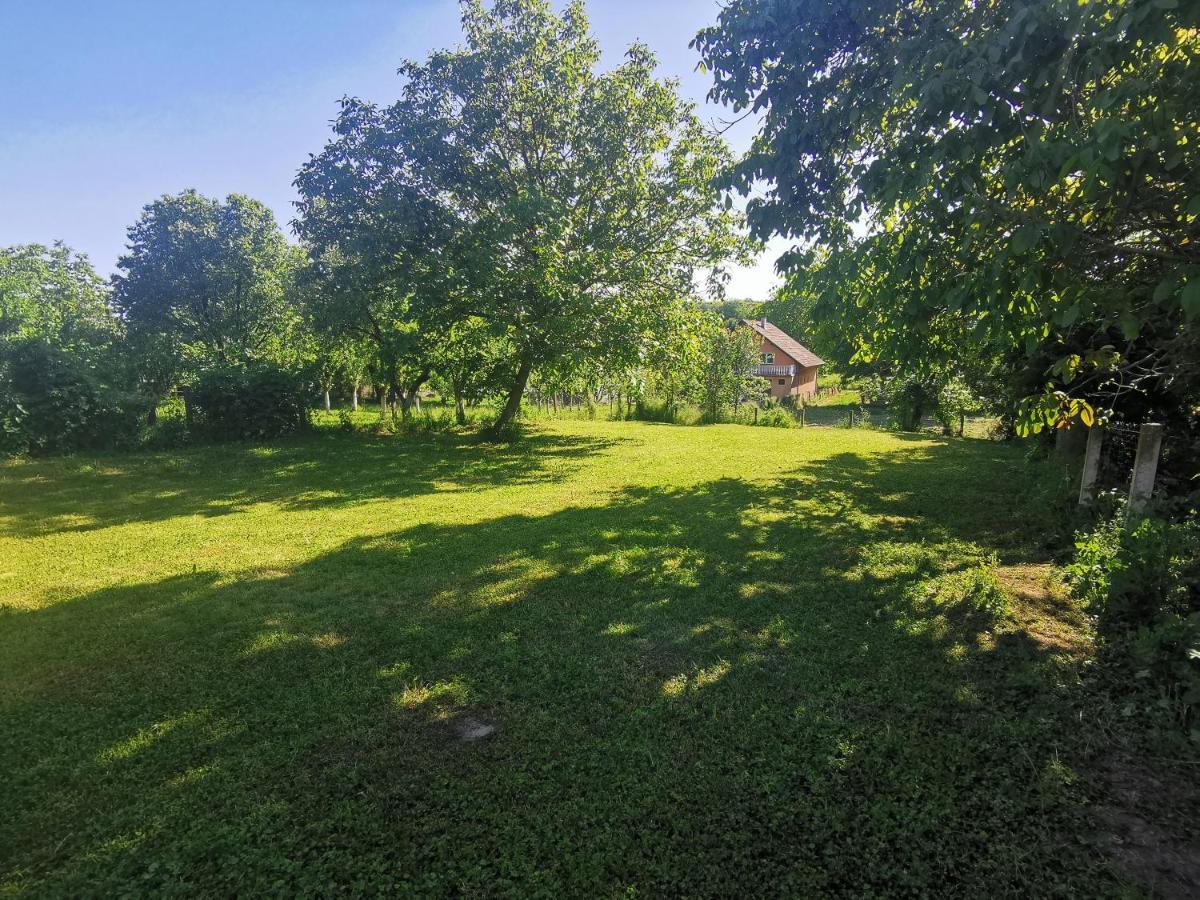 Apartmani La Grande Motte Vrdnik Eksteriør bilde
