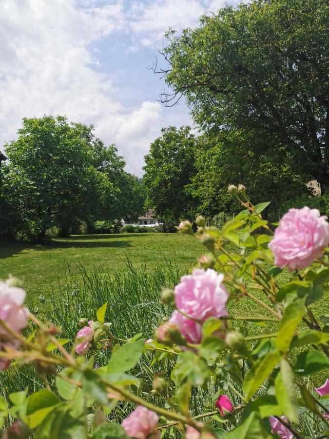 Apartmani La Grande Motte Vrdnik Eksteriør bilde